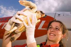 Sarah holding a tortoise