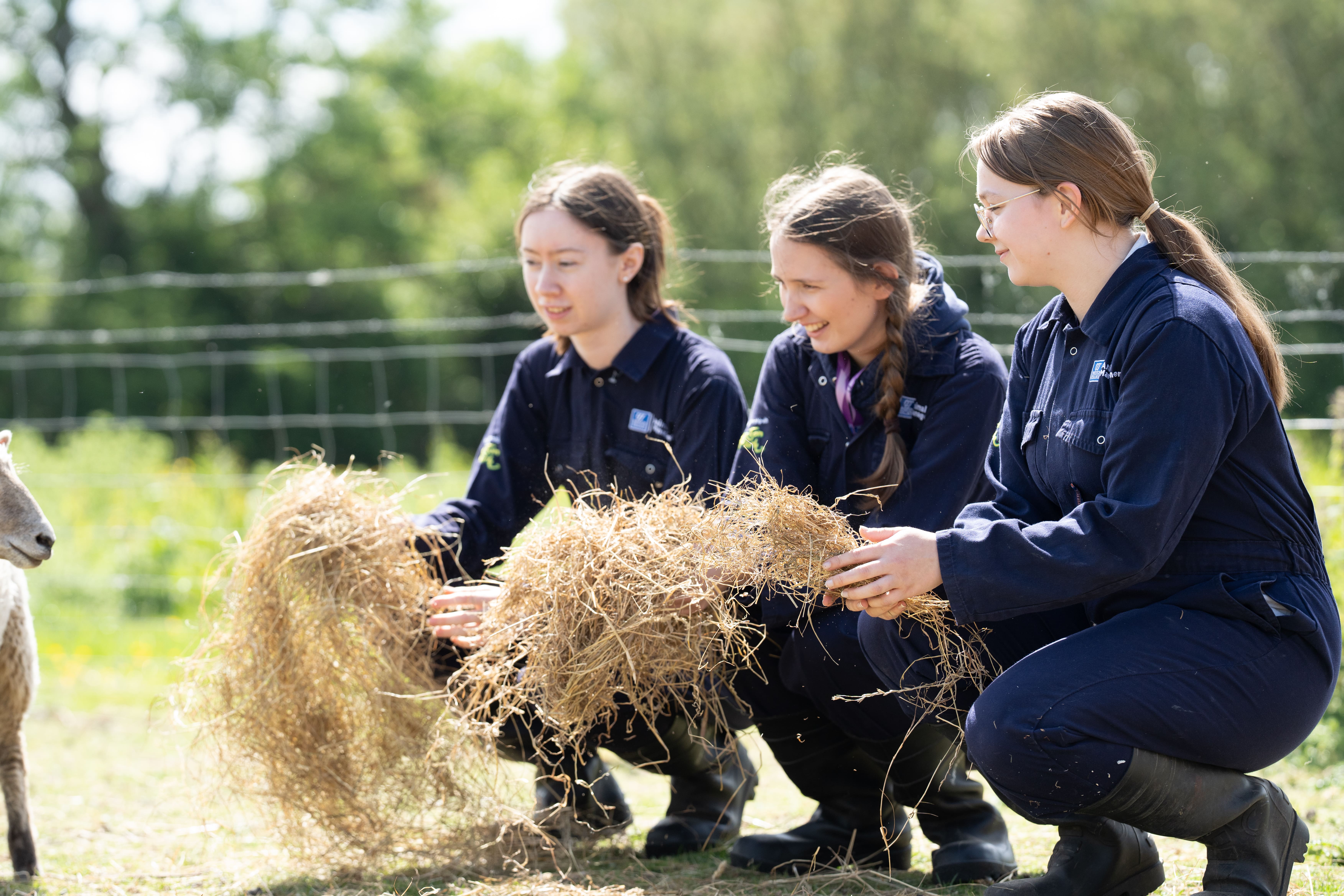 students holding hay
