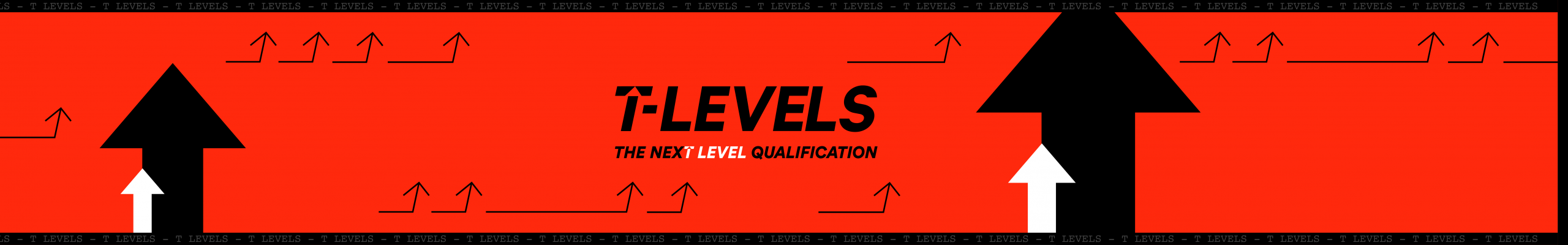 ​Outstanding 96.6% T Level Pass Rate, Surpassing National Average by 5.6%​ 