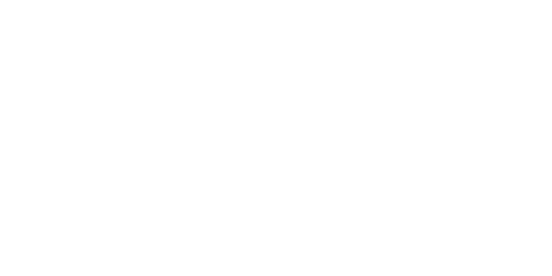 Bristol port company logo