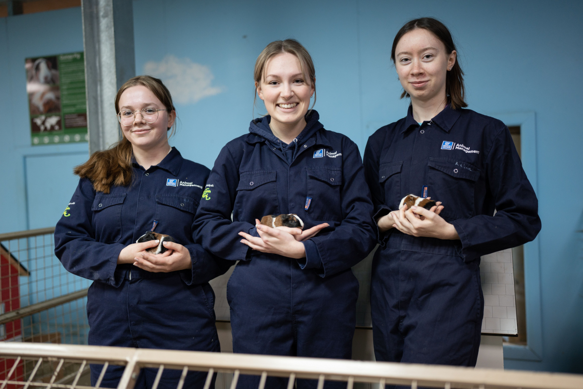 group of students holds guinea pigs 