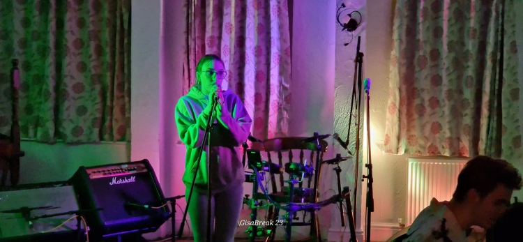 Girl singing at a gig